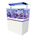 aqua-medic-armatus-xs-micro-aquarium-de-4l-tout-en-un-avec-filtration-integre-dans-le-meuble-7
