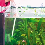 jbl-blanki-set-nettoyeur-de-vitre-d-aquarium-anti-rayure-avec-manche-de-45cm-3-min