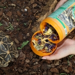 jbl-proterra-florsil-nourriture-de-base-aux-fleurs-pour-tortues-terrestres-1-min