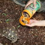 jbl-proterra-florsil-nourriture-de-base-aux-fleurs-pour-tortues-terrestres-4-min