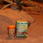 jbl-crickbox-boite-saupoudreuse-pour-enrichir-les-aliments-a-base-d-insectes-6-min