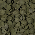 tropical-green-algae-wafers-pastilles-vegetales-descendantes-pour-mangeurs-d-algues-avec-spirulina