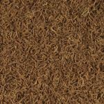tropical-red-mico-100ml-vers-de-sang-lyophilises-pour-poissons-omnivores-et-carnivores-1