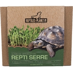 reptiles-planet-repti-serre-mini-serre-de-germination-pour-graines-a-tortues-terrestres-et-autres
