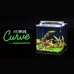 aquatlantis-kubus-curve