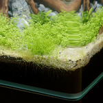aquatlantis-kubus-curve-5