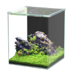 aquatlantis-kubus-curve-65-l-basic-cuve-nue-38-x-38-x-45-cm-bords-arrondis-et-couvercle