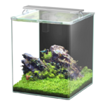 aquatlantis-kubus-curve-65-l-complete-nano-aquarium-38-x-38-x-45-cm-bords-arrondis-eclairage-leds-controleur-substrat-de-sol-filtre-et-couvercle