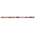 FS-36_T8_ReptiSun_5.0_UVB_Fluorescent_Bulb