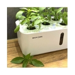 bioponis-eden-blanc-kit-de-culture-hydroponie-pour-la-creation-d-un-mini-potager-d-interieur-2