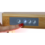 bioponis-bamboo-1-kit-de-culture-hydroponie-pour-la-creation-d-un-mini-potager-d-interieur-5