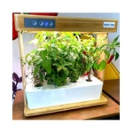 bioponis-bamboo-1-kit-de-culture-hydroponie-pour-la-creation-d-un-mini-potager-d-interieur-2