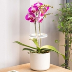 bioponis-o-rchid-light-eclairage-led-special-orchidee