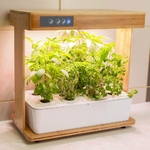 bioponis-bamboo-1-kit-de-culture-hydroponie-pour-la-creation-d-un-mini-potager-d-interieur