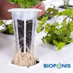blocs-de-germination-x20