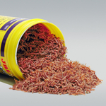 jbl-novo-fil-100-ml-larves-rouges-de-moustiques-pour-poissons-d-ornement-de-3-a-10-cm-2