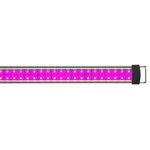 beleuchtet_PowerRGB_Det_0424_magenta