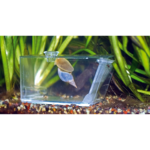 aqua-medic-trap-pest-piege-universel-pour-crabes-escargots-et-vers-de-feu-en-eau-douce-ou-de-mer-2