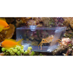 aqua-medic-trap-pest-piege-universel-pour-crabes-escargots-et-vers-de-feu-en-eau-douce-ou-de-mer-1