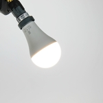 jbl-reptil-led-daylight-13w-ampoule-led-lumiere-du-jour-a-spectre-complet-pour-terrarium-5-min