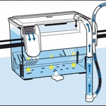 amtra-breeding-box-hang-on-1-5-l-isoloir-externe-avec-systeme-de-renouvellement-automatique-de-l-eau-5