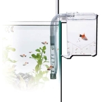 amtra-breeding-box-hang-on-1-5-l-isoloir-externe-avec-systeme-de-renouvellement-automatique-de-l-eau-4