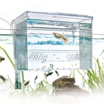 amtra-breeding-box-hang-on-1-5-l-isoloir-externe-avec-systeme-de-renouvellement-automatique-de-l-eau-3