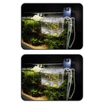 amtra-breeding-box-hang-on-1-5-l-isoloir-externe-avec-systeme-de-renouvellement-automatique-de-l-eau-2
