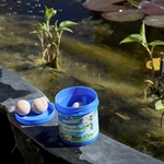 jbl-florapond-8-boulettes-d-engrais-pour-plantes-de-bassin-9-min
