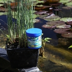 jbl-florapond-8-boulettes-d-engrais-pour-plantes-de-bassin-10-min