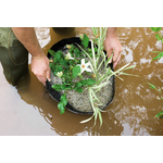 velda-plant-basket-25-cm-x-20-cm-panier-de-culture-rond-pour-plante-de-bassin-4