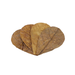 seachem-catappa-leaves-small-10-12-cm-lot-de-12-feuilles-de-catappa-ideal-pour-aquarium-a-crevettes-et-betta-1