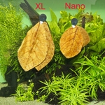 jbl-nano-catappa-feuilles-de-badamier-aux-vertus-medicinales-pouir-nano-aquarium-2-min