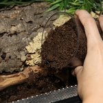 jbl-terrabasis-5-l-substrat-pour-terrariums-humides-et-semi-humides-2-min