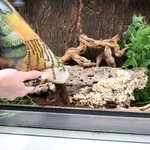 jbl-terrabasis-5-l-substrat-pour-terrariums-humides-et-semi-humides-6-min
