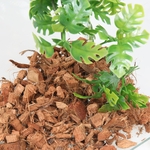 jbl-terracoco-5-l-substrat-de-copeaux-de-noix-de-coco-materiau-naturel-pour-terrariums-5-min