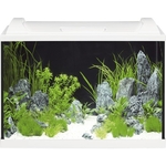 eheim-aquaproled-84-blanc-aquarium-equipe-84-l-dimensions-60-x-35-x-40-cm-2