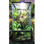 zoomed-paludarium-46-x-46-x-91-cm-de-haut-avec-contenance-de-40l-35