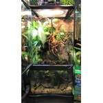 zoomed-paludarium-46-x-46-x-91-cm-de-haut-avec-contenance-de-40l-3