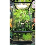 zoomed-paludarium-46-x-46-x-91-cm-de-haut-avec-contenance-de-40l-66