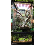 zoomed-paludarium-46-x-46-x-91-cm-de-haut-avec-contenance-de-40l-1