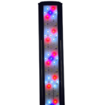 scalare-rampe-d-eclairage-leds-akouashop-com-mode-2