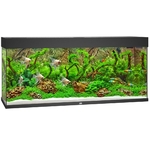 juwel-rio-240-led-noir-aquarium-equipe-121-x-41-x-55-cm-240-l