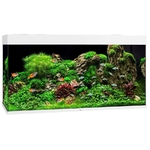 juwel-rio-350-led-blanc-aquarium-equipe-121-x-51-x-66-cm-350-l