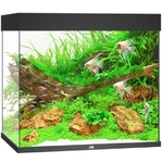 juwel-lido-200-led-noir-aquarium-equipe-71-x-51-x-65-cm-200-l