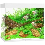 juwel-lido-200-led-blanc-aquarium-equipe-71-x-51-x-65-cm-200-l