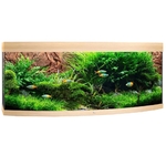 juwel-vision-450-led-chene-clair-aquarium-equipe-151-x-61-x-64-cm-450-l