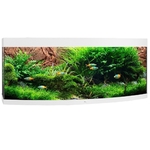 juwel-vision-450-led-blanc-aquarium-panoramique-equipe-151-x-61-x-64-cm-450-l