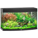 juwel-vision-180-led-noir-aquarium-panoramique-equipe-92-x-41-x-51-cm-180-l
