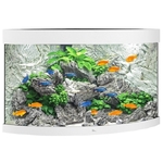 juwel-trigon-190-led-blanc-aquarium-d-angle-equipe-70-x-70-x-60-cm-190-l